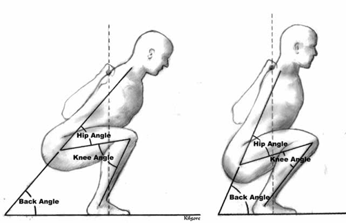 The Muscles Used in Squats - Squat Biomechanics Explained