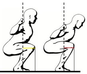 The Muscles Used in Squats - Squat Biomechanics Explained